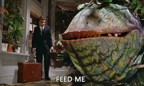 Feed me, Seymour...